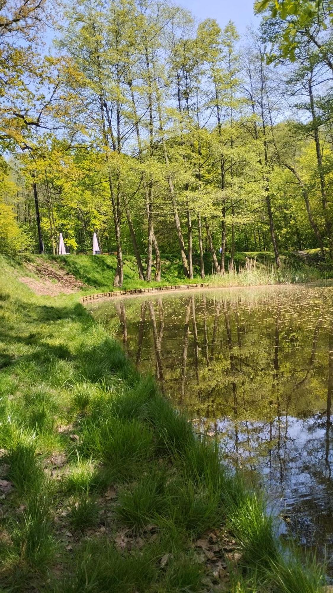 Apartament Zdroj Jastrzębie Zdrój 外观 照片
